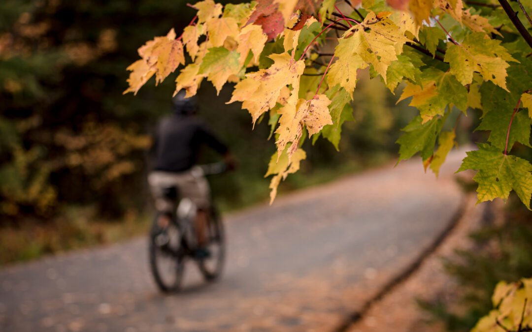 Fall on Le P’tit Train du Nord: Dare to Slow Down Among the Colours